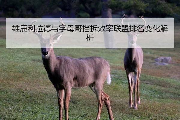 雄鹿利拉德与字母哥挡拆效率联盟排名变化解析（kaiyun）