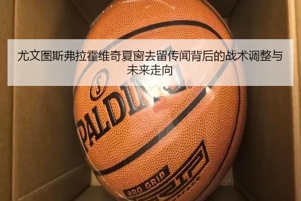 尤文图斯弗拉霍维奇夏窗去留传闻背后的战术调整与未来走向